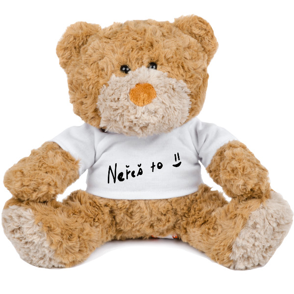 Medvídek Teddy s potiskem Méďa